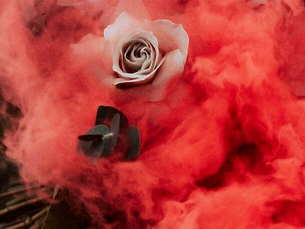 white rose in red smoke women's health